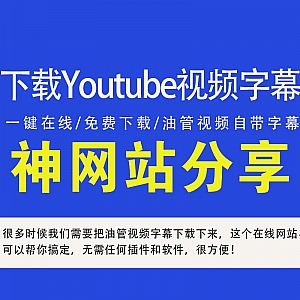 可在线下载Youtube油管视频外挂字幕的网站