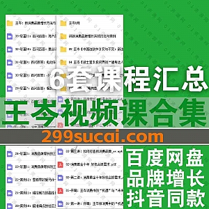 消费王王岑6套视频课程百度网盘资源合集,包含千聊抖音同款付费课程/王岑讲新消费品牌增长/新消费品牌增长实战打法与案例……等内容