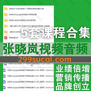 5套张晓岚视频音频学习课程+PDF电子书网盘资源合集,包含低成本创品牌7步成名法/13堂低成本营销课/让企业业绩倍增的7种营销武器…等