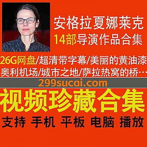 14部德国导演安格拉·夏娜莱克(Angela Schanelec)电影作品(超清带字幕)26G网盘资源合集,包含美丽的黄油漆/奥利机场/城市之地…等