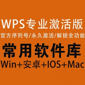 wps专业激活版