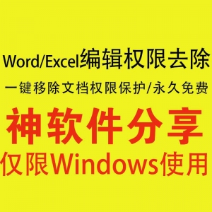 wordexcel文档编辑密码权限去除保护工具