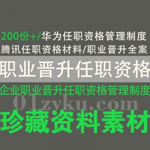 企业职业晋升任职资格管理制度文档