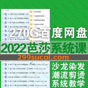 2022年芭莎系统课程合集