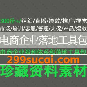 电商企业盈利体系落地工具包