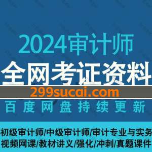 2024年审计师考试网课资源合集