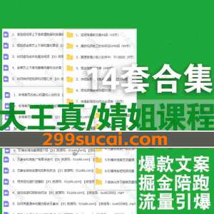 大王真课程+婧姐文案课程资源合集