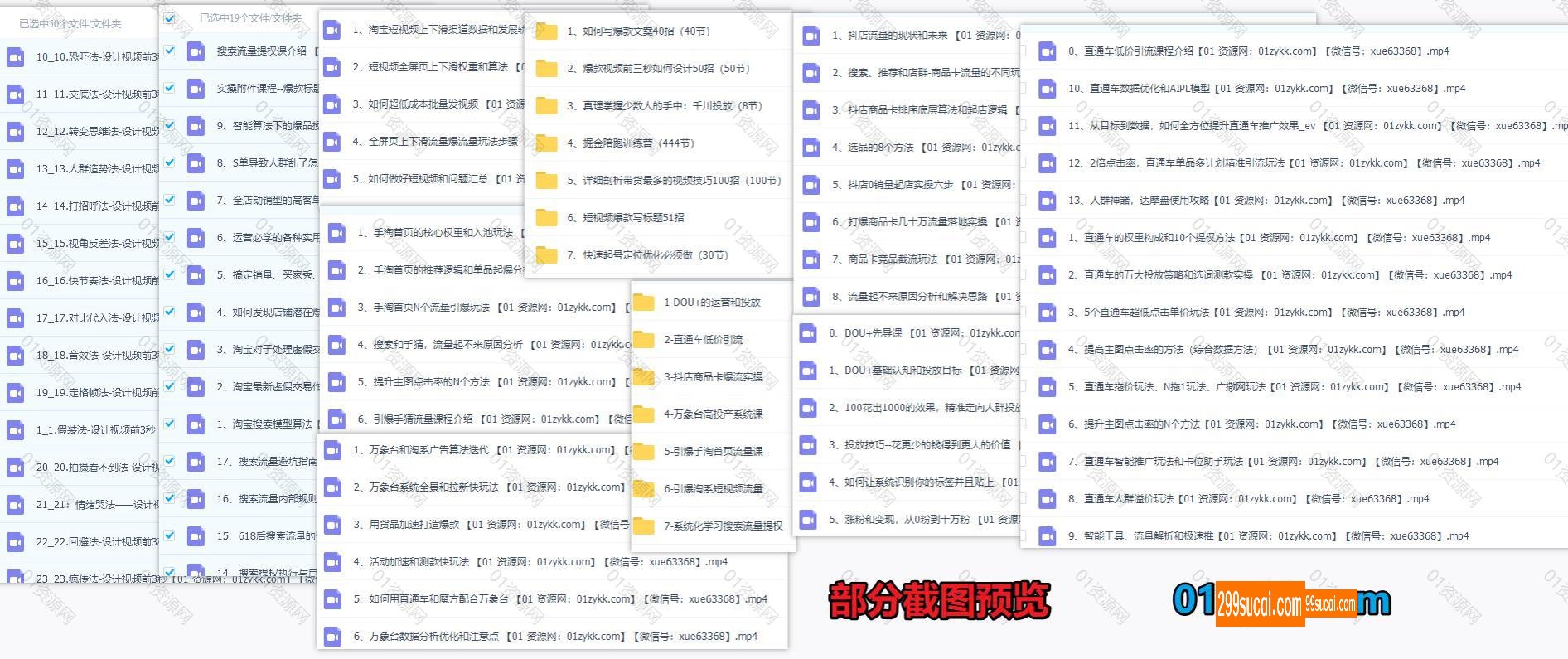 大王真课程+婧姐文案课程资源截图