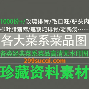 1000份+各大菜系菜品高清无水印图资源