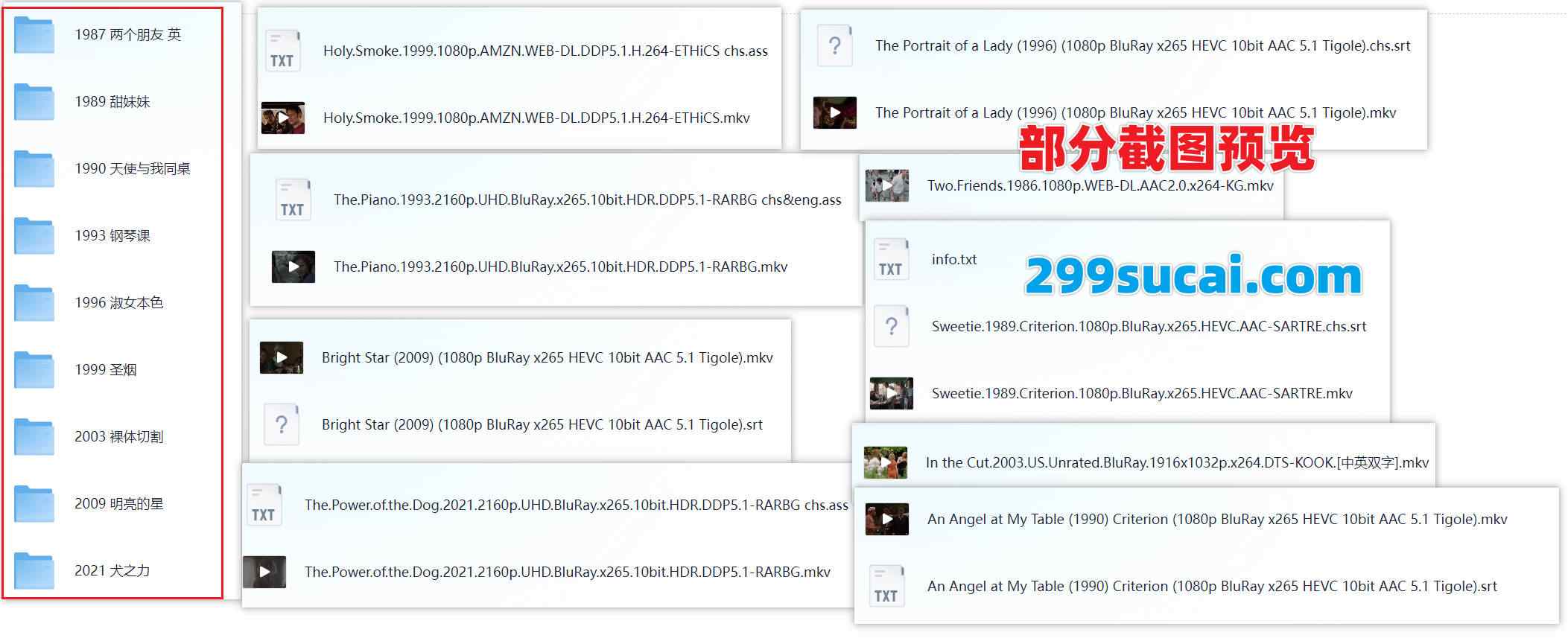 9部简坎皮恩导演作品资源合集截图