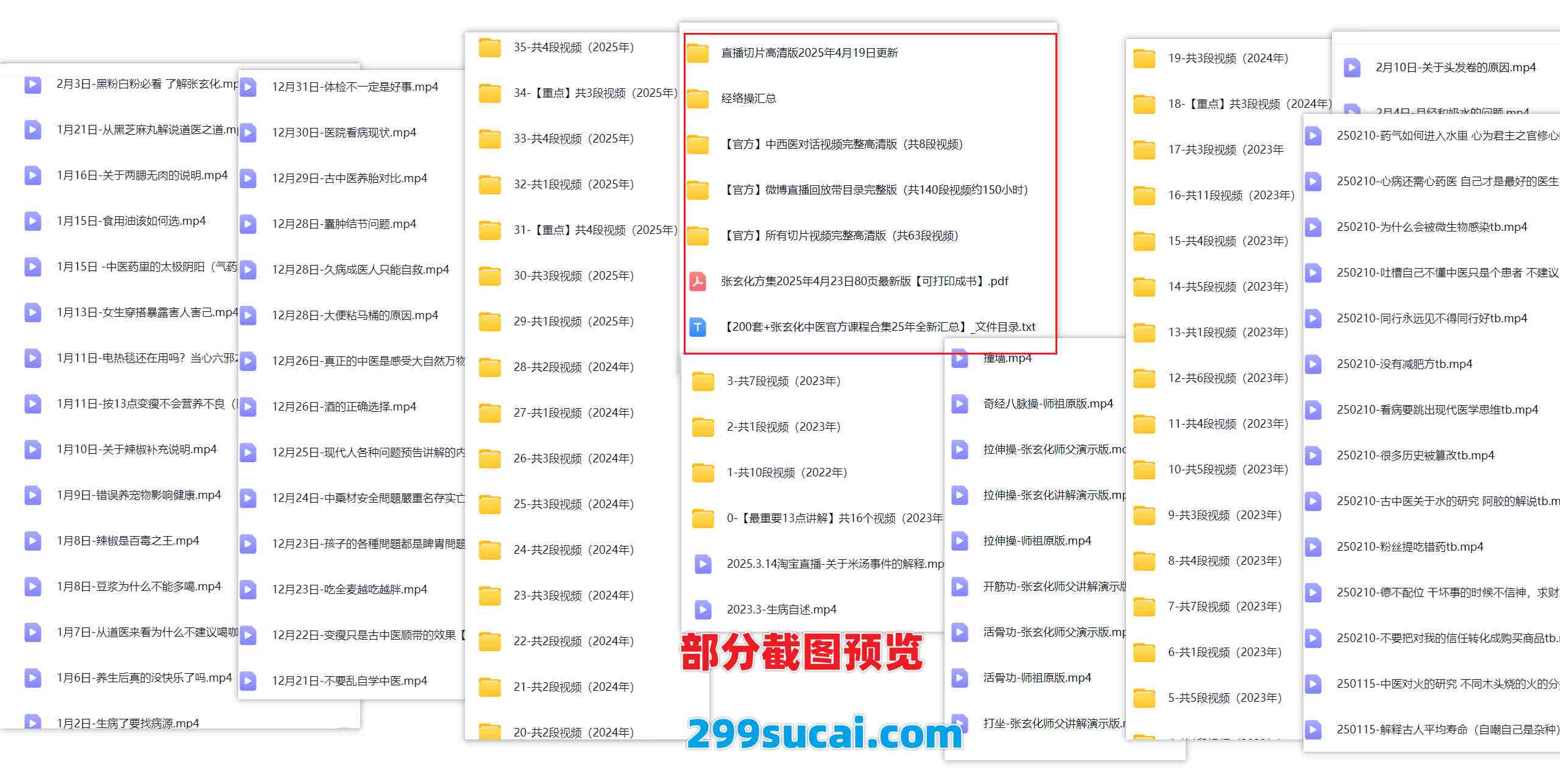 200套+张玄化中医课程资源合集截图