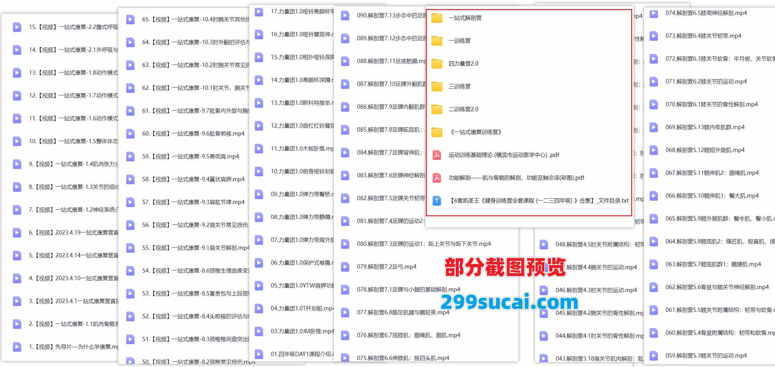 6套凯圣王健身课程资源合集截图