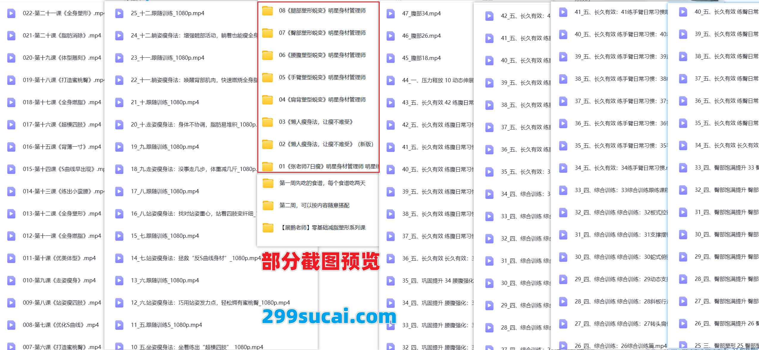 8套张展鹏健身课程资源合集截图