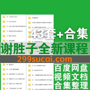 43套+全新谢胜子课程资源合集