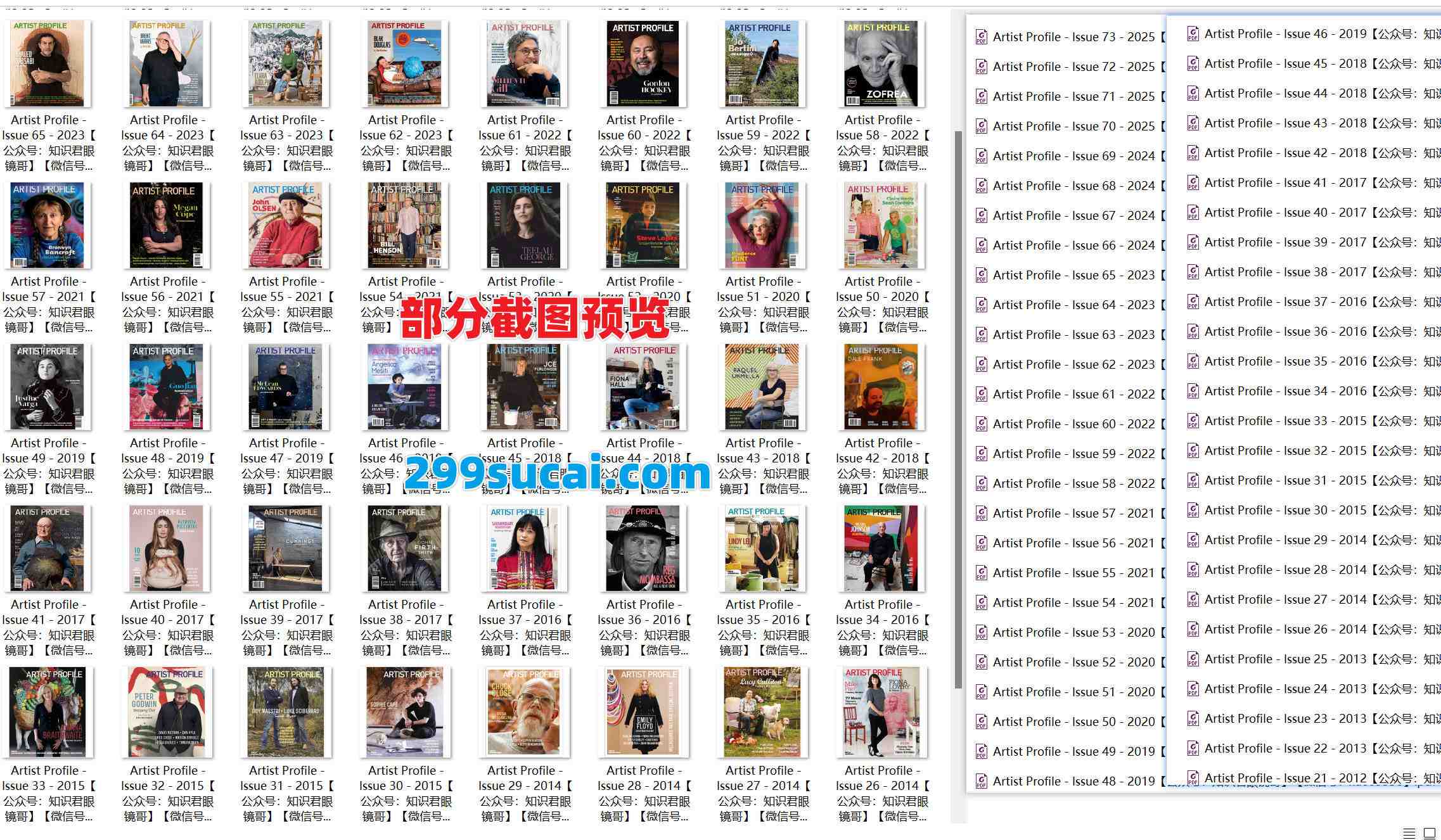 历年Artist Profile杂志电子版资源合集截图