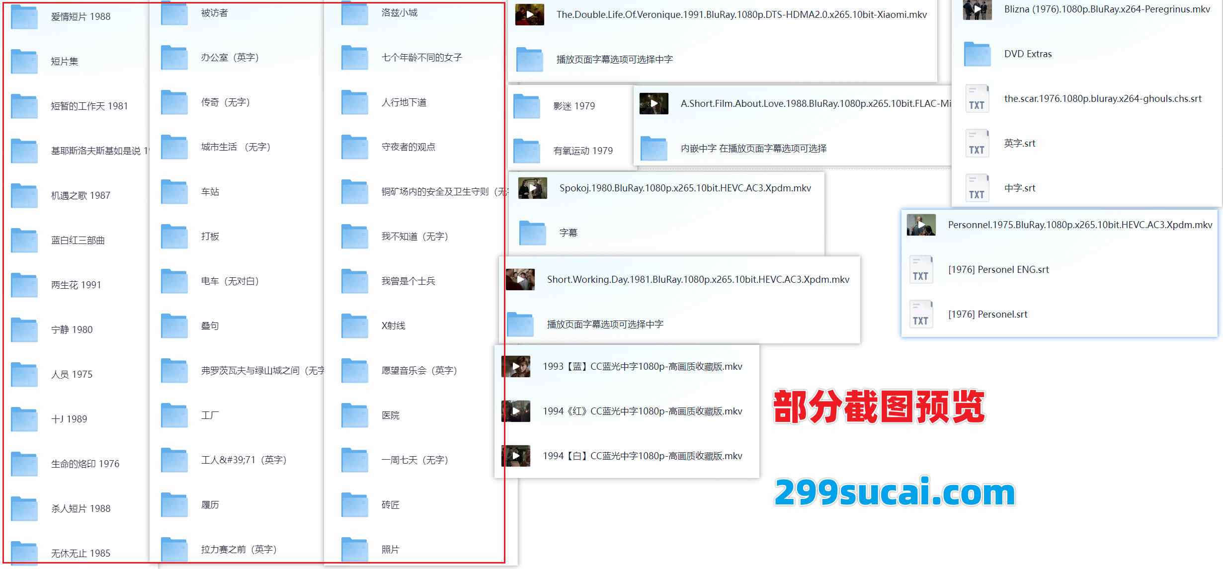 基耶斯洛夫斯基导演作品资源合集截图