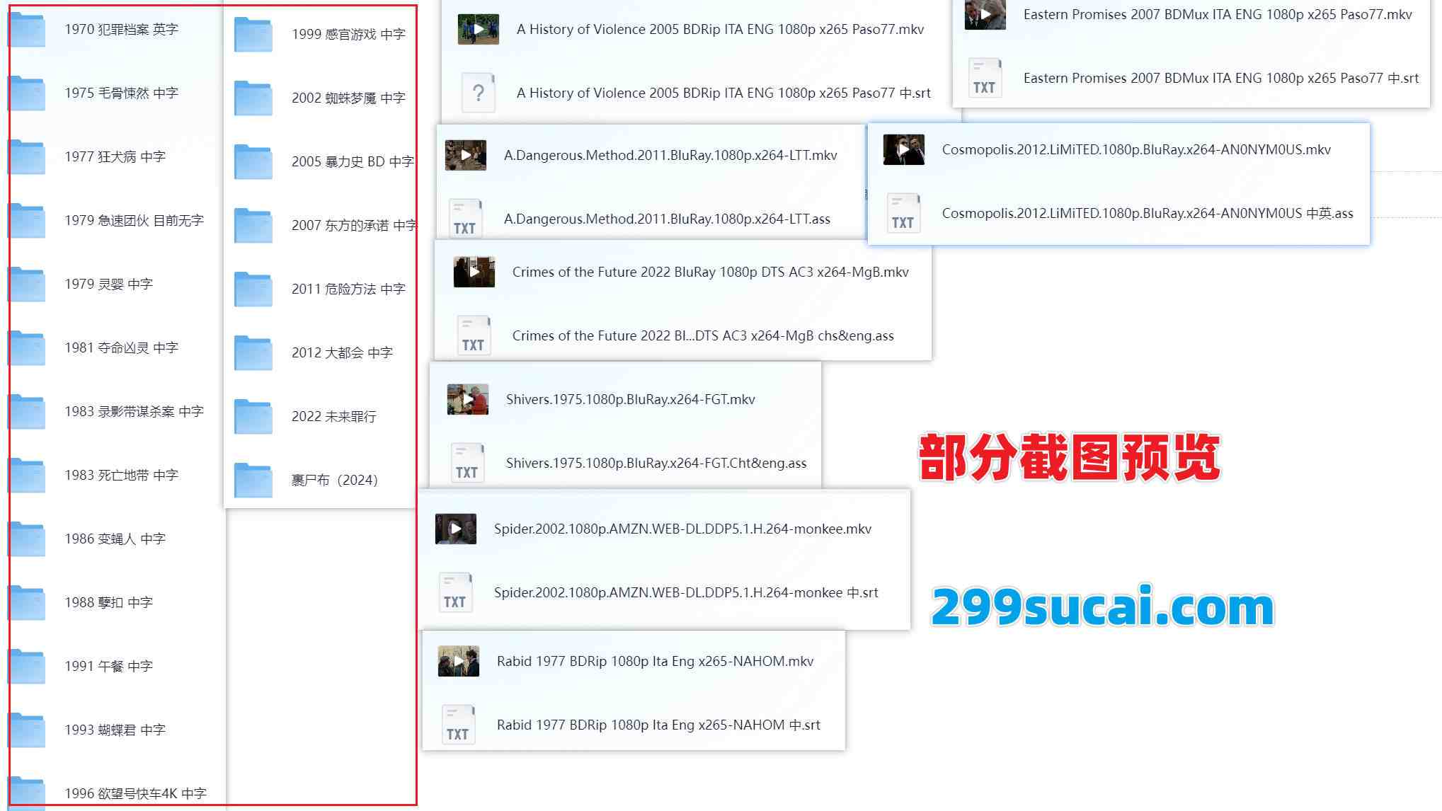 21部柯南伯格导演作品资源合集截图
