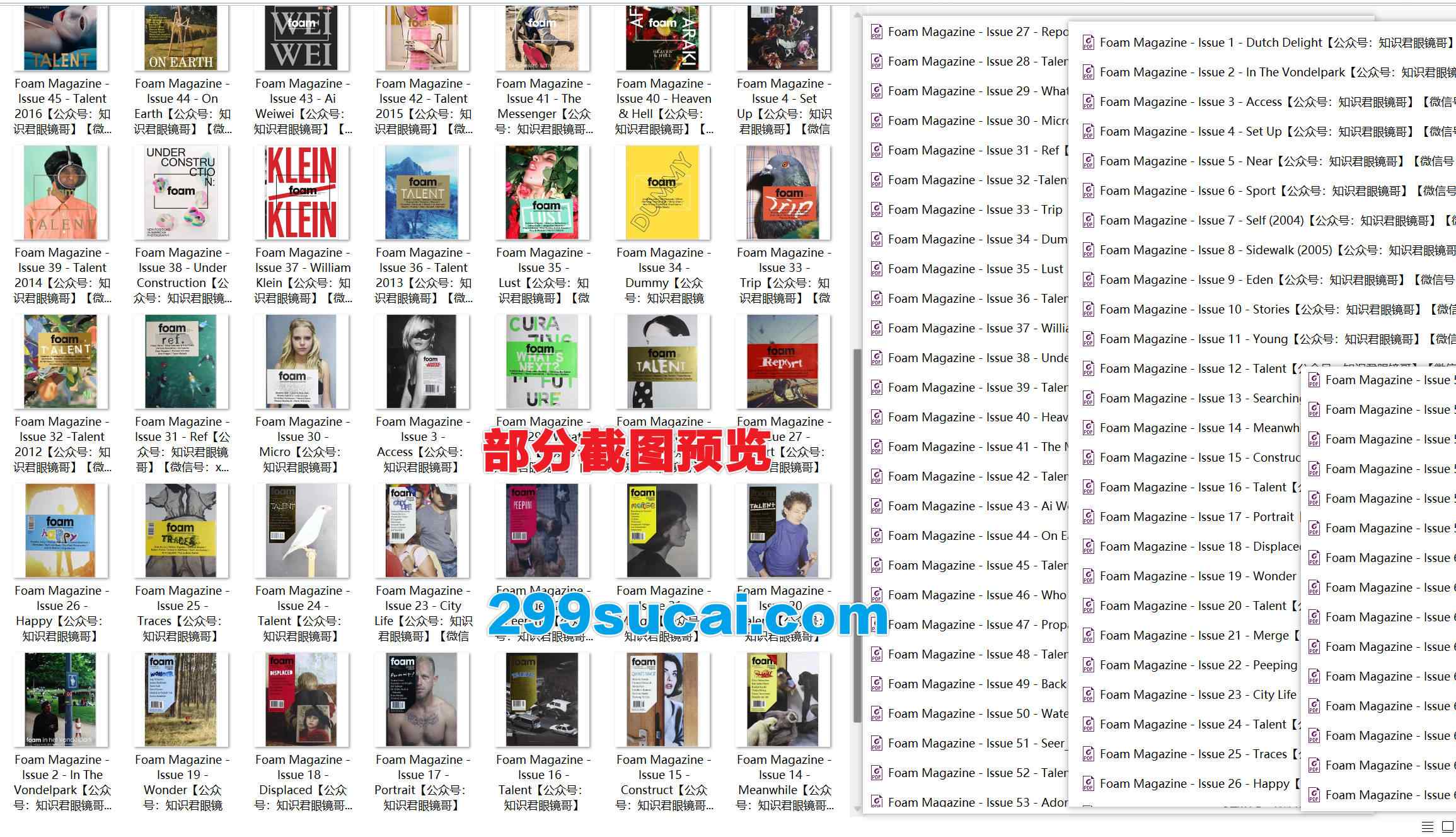 Foam国际摄影杂志历年电子版资源合集截图