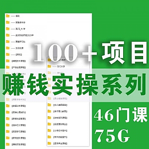 【75G网盘】46门课,100+零基础赚钱实操项目