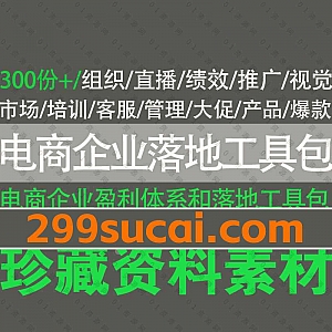 300份+电商企业盈利体系落地工具包表格文档模板素材百度网盘资源合集,包含京东拼多多淘宝抖音销售运营/客服管理/产品大促…12大体系
