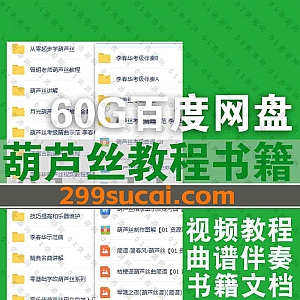 60G葫芦丝巴乌学习技巧培训视频教程+PDF电子书教材文档+考级精曲示范曲谱伴奏百度网盘资源合集,包含张迪/李春华/音乐佳/曾明…等名师课程