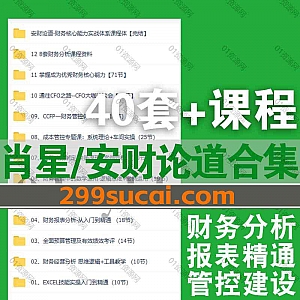 40套肖星财务/安财论道小安老师财务思维CCFP系列课程网盘资源合集,包含企业财务报表分析/财务管控体系建设/财务经营分析/技能实操…等