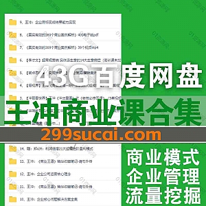 43G王冲商业系列视频课程+PDF电子版书籍网盘资源合集,包含商业模式团队管理挖掘流量破局/商业王道好产品的四大组成架构/老板必修五课…等