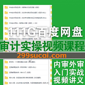 111G审计实操会计事务所外部审计企业内部审计视频课程网盘资源合集,包含审计合并报表底稿编制/审计上岗训练营/审计实务/审计助理必修…等