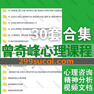 全新30套曾奇峰心理学视频音频课程+电子版书籍文档138G网盘资源合集,包含精神分析初级学习营/真实案例解析与督导/精神分析咨询实务…等