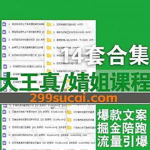 14套大王真聊电商/婧姐文案课程网盘资源合集,包含DOU+运营投放/直通车低价引流/爆款文案/掘金陪跑/短视频爆款标题/快速起号定位…等