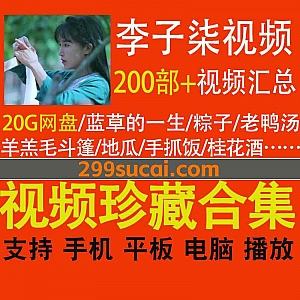 200部+李子柒美食/手工制作高清短视频20G网盘资源合集,包含手抓饭/地瓜/桂花酒/老鸭汤/粽子/四川火锅/千层底布鞋…等