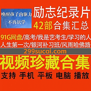 42部唤醒孩子内驱力励志纪录片91G网盘资源合集,包含高考/我是艺考生/人生第一次/银河补习班/我是第一名/风雨哈佛路…等
